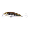 Pesca 5.5cm Sinking Minnow – Compact Power, Big Attraction