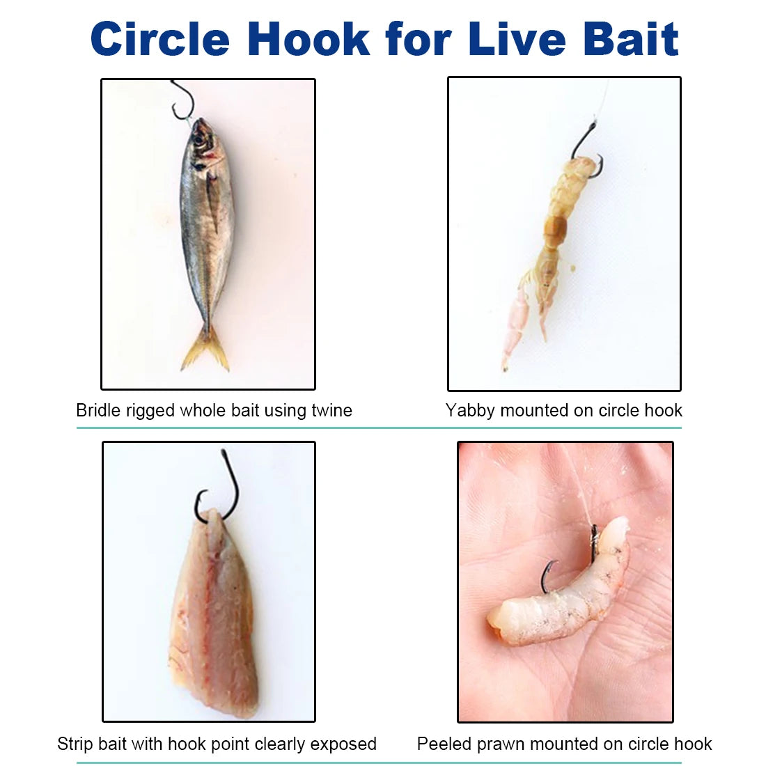 Bulk Circle Hooks for Live Bait Fishing – 25 to 50PCS
