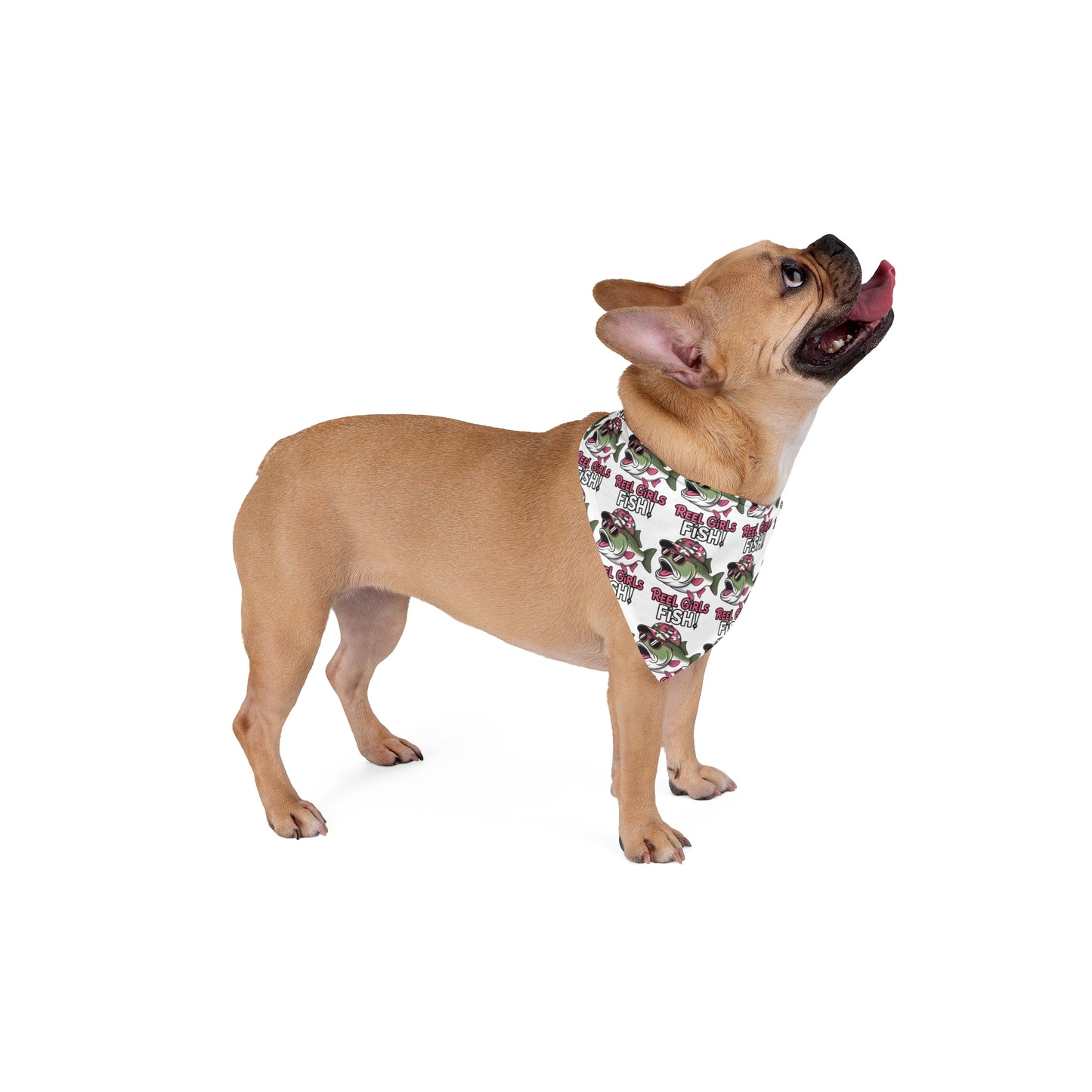 🐾 Reel Girls Fish Pet Bandana – For the Paws That Play by the Bay